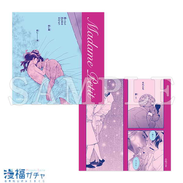 D13/ステッカー2枚セット マダム・プティ